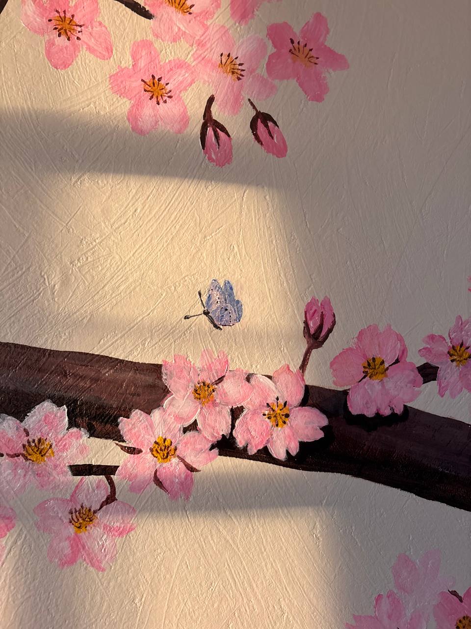 photo_2025-11-10_12-58-02