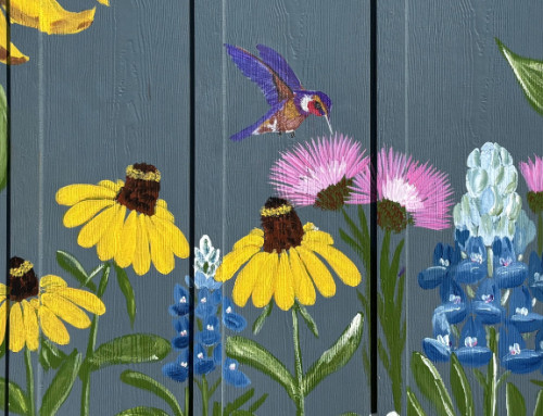 A Celebration of Texas Wildflowers